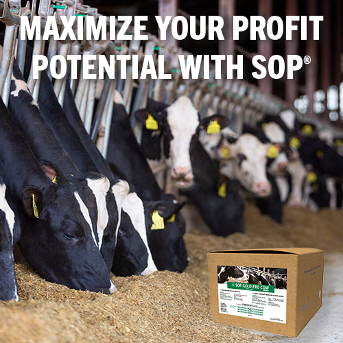 Maximize your profit potential with SOP products.