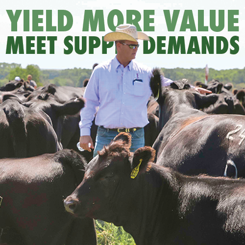 Yield more value and meet supply demands with LCT.