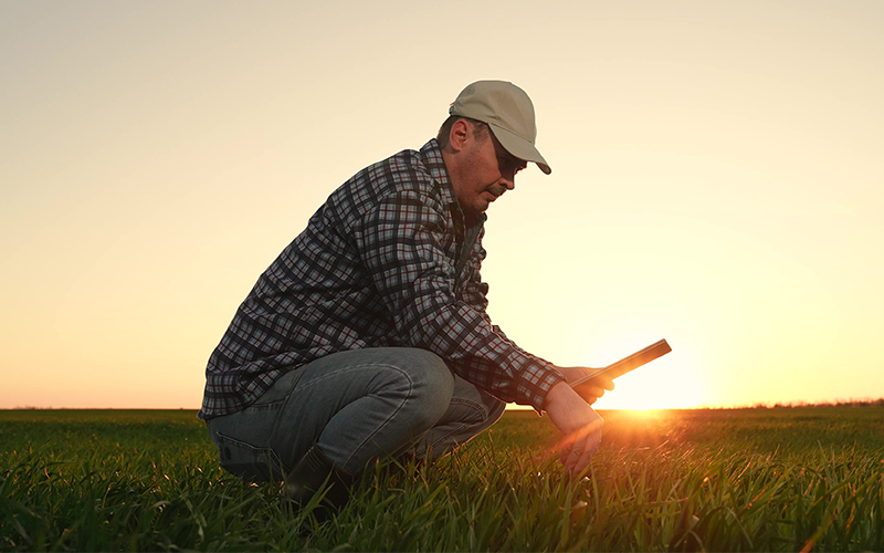 Consultant in field.