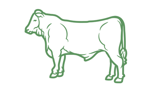 Beef steer icon.