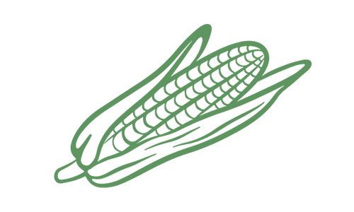 Corn icon.